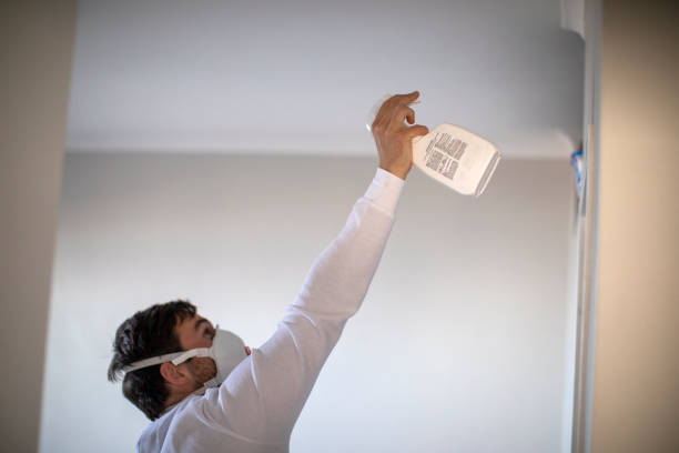 Best Mold Testing and Removal  in Palmer, TX